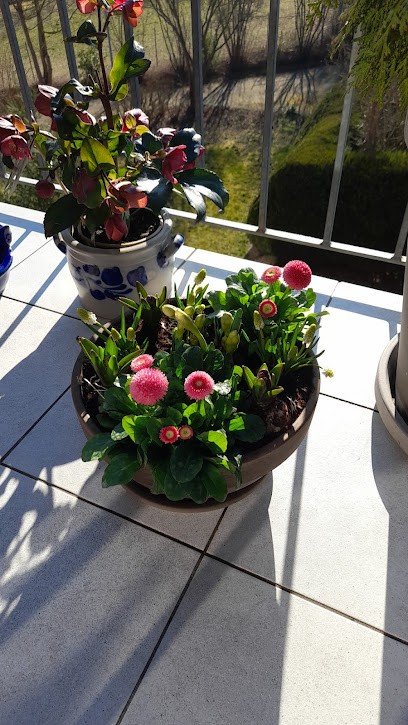 Blumen Dittmann, Blumenladen in Igersheim