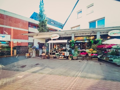 Blütezeit, Blumenladen in Garbsen