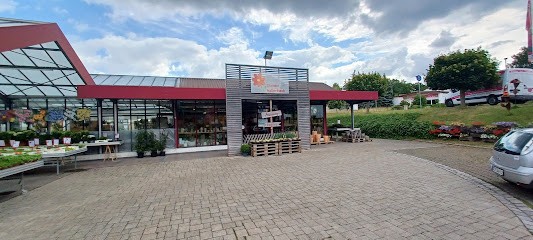 Blumen Kaltenbeck, Blumenladen in Burghaslach
