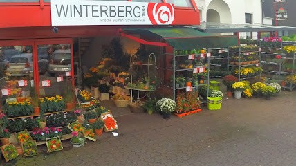 Blumen Winterberg e.K., Blumenladen in Wuppertal