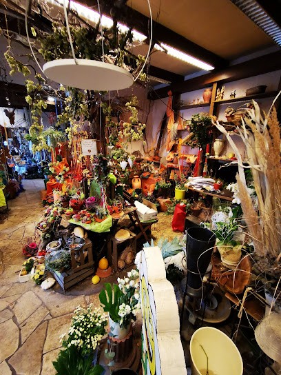 Gärtnerei und Blumenfachgeschäft Brand, Blumenladen in Meine