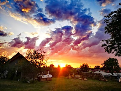 Agrarunternehmen Pfersdorf e.G., Blumenladen in Hildburghausen