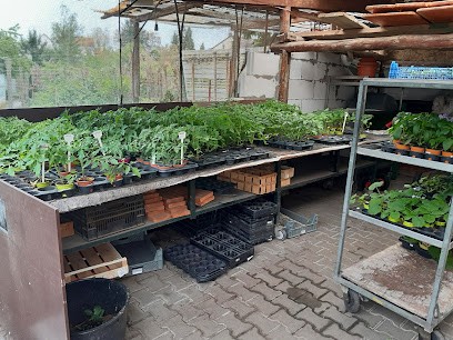 Werner Förster, Blumenladen in Sulzfeld