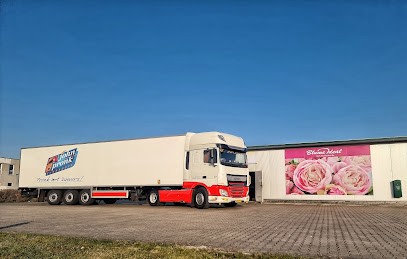 Blume Ideal, Blumenladen in Ihlow