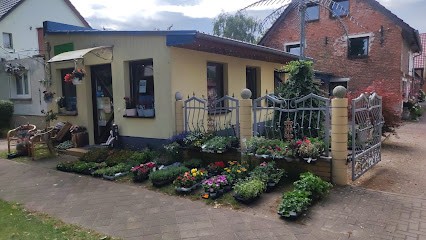 Blumen Miltonia Viktoria Faust, Blumenladen in Stechow-Ferchesar