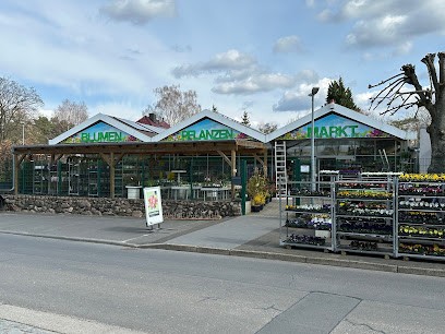 Schlestein Blumen- Und Pflanzenmarkt GmbH, Blumenladen in Wandlitz