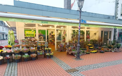 Blumen Risse Blumenladen Haltern Am See, Blumenladen in Haltern am See