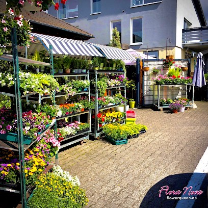 Flora Nova, Blumenladen in Friedrichsdorf