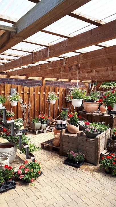 Lüllmann, Blumenladen in Menslage