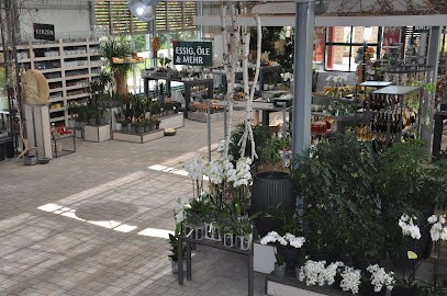 Blumen Schupp, Blumenladen in Neustadt an der Weinstraße