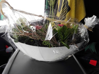 Kleeblatt Freiberg, Blumenladen in Freiberg