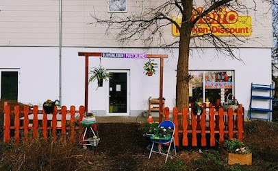 Blumenladen Pusteblume Carola Syskowski, Blumenladen in Riesa