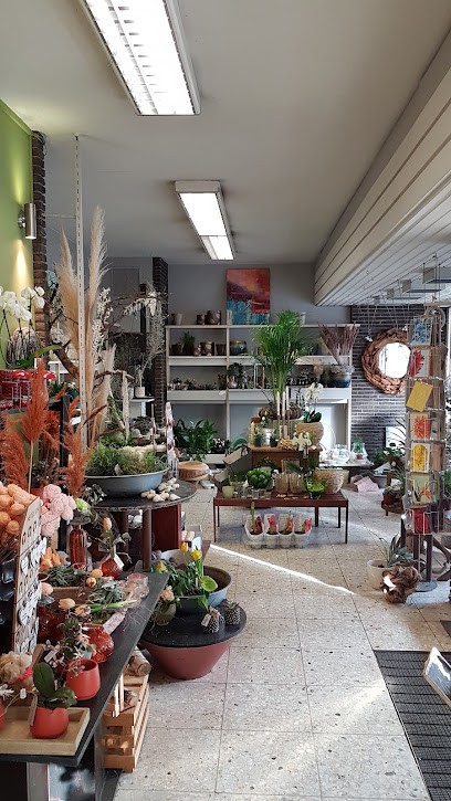 Töberich Blumenhaus, Blumenladen in Blomberg