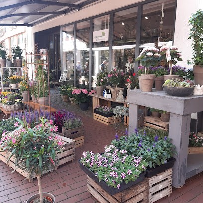 Ludger Stegemann Meisterfloristik, Blumenladen in Haltern am See