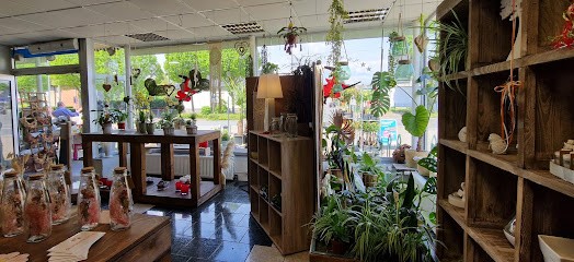 Magic Flowers, Inh. Sabine Flüchter, Blumenladen in Recklinghausen