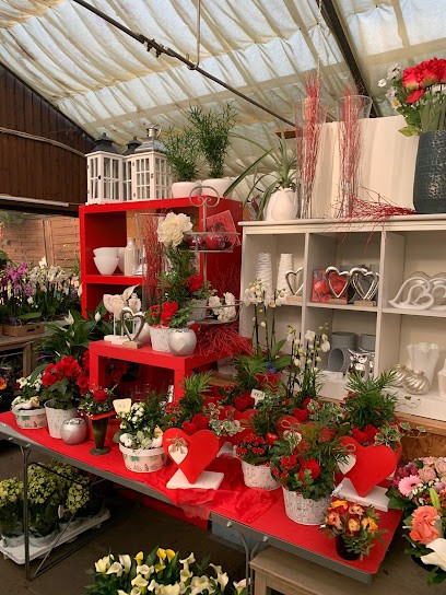 Blumen Hoogland, Blumenladen in Köln