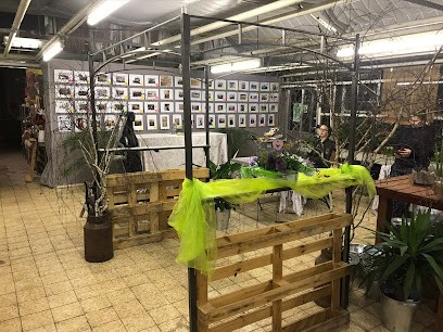 Gärtnerei - MÖLLER - Floristik, Blumenladen in Preetz