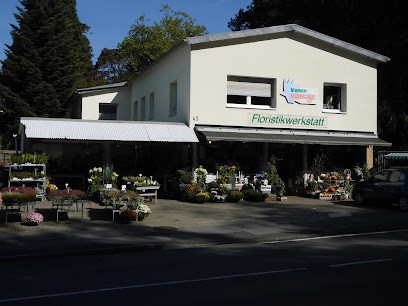 Blumen Nicolaye, Blumenladen in Aachen