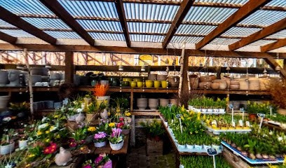 Klöppner Gartenbaubetrieb, Blumenladen in Heilbad Heiligenstadt