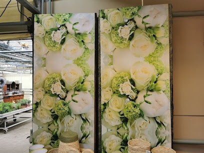 Ritschel Erich Creativ In Grün, Blumenladen in Nabburg