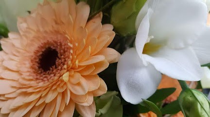 Barbi's Blumenladen - Inh. Vanessa Körner -, Blumenladen in Neuhof an der Zenn