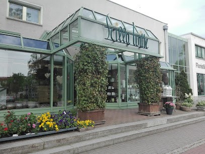 Scilla Witte Schachtner KG, Blumenladen in Halberstadt