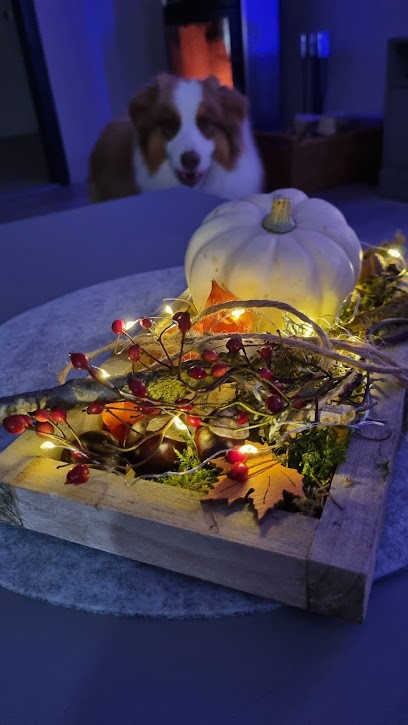 Bloomenspieker Anika Schulze, Blumenladen in Wittingen