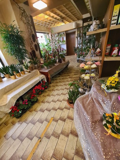 Blumen Bernd Gnann, Blumenladen in Burgau