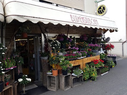 Das Blumenstübchen Heike Lang, Blumenladen in Dillenburg