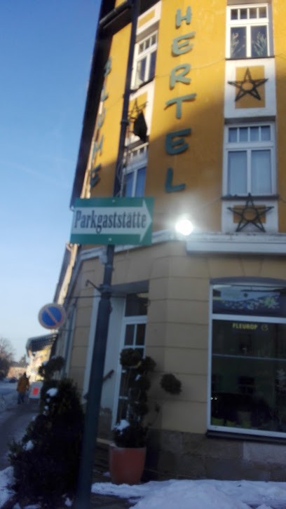 Hertel, Blumenladen in Lengenfeld