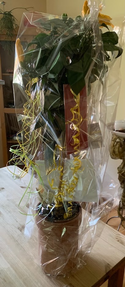 Simon und Oppermann, Blumenladen in Hannover