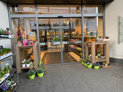 Blumen Gebr. Spangenberg Bottrop, Blumenladen in Bottrop