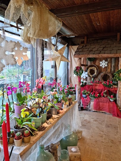 Edmund Haas, Blumenladen in Roßdorf