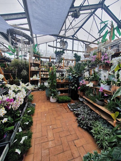 Gärtnerei Jonas GmbH, Blumenladen in Wesseling