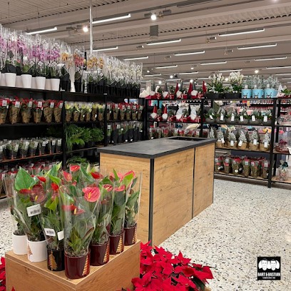 Bart & Bastian Shop-in-Shop Hockenheim, Blumenladen in Hockenheim