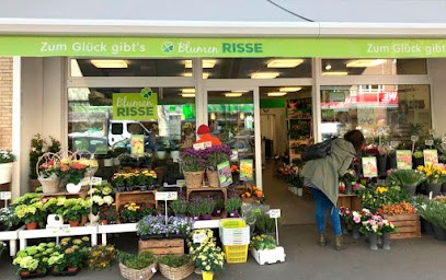 Blumen Risse Blumenladen Köln-Sülz, Blumenladen in Köln