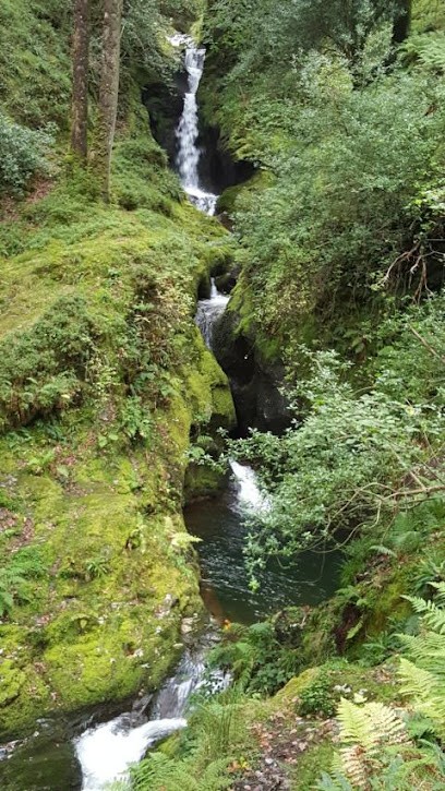 Heiderich Floristik - Waldrach, Blumenladen in Waldrach