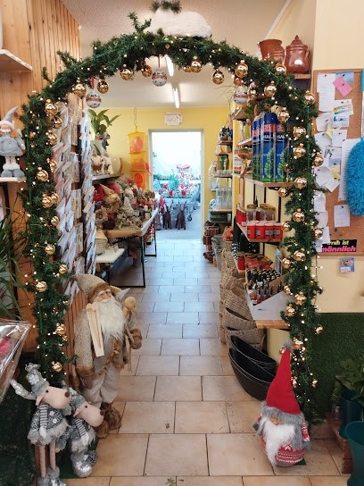 Katrin Werner Blumenstübchen, Blumenladen in Zella-Mehlis