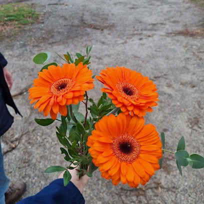Petra Miersch, Blumenladen in Zossen