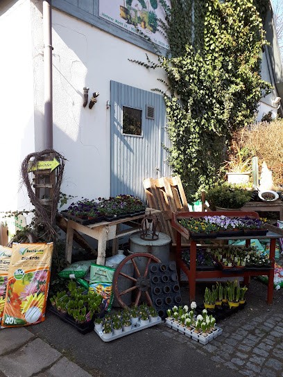 Christine’s Blumenladen, Blumenladen in Kasendorf