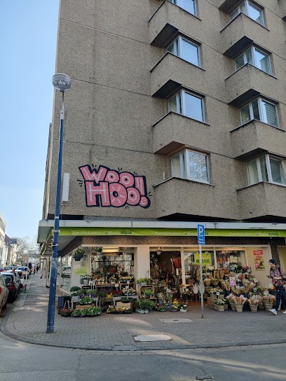 Blumen Risse Blumenladen Dortmund-Kaiserviertel, Blumenladen in Dortmund