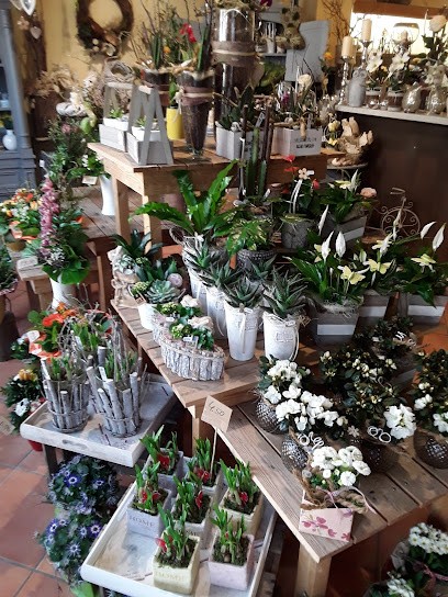 Stil & Blüte, Blumenladen in Prenzlau