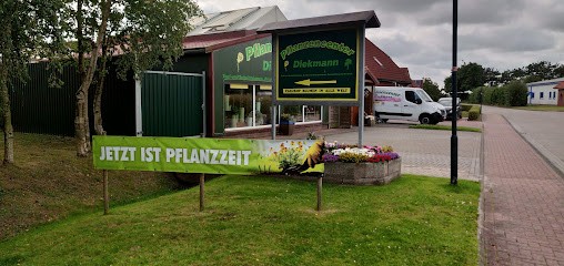 Pflanzencenter Diekmann, Blumenladen in Dornum