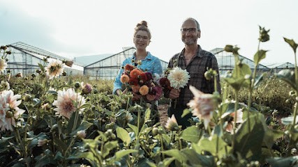 Floralita, Blumenladen in Sinzheim