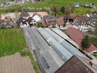 Ute Blumengeschäft Tränkle, Blumenladen in Kappelrodeck