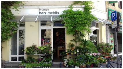 blumen herr mehlis GmbH, Blumenladen in Köln