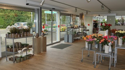 Gärtnerei Wilhelm Frischholz, Blumenladen in Günzburg