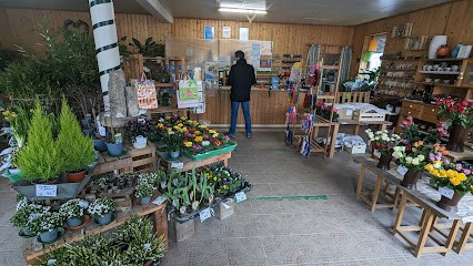 Blumen Gruber, Blumenladen in Geldersheim