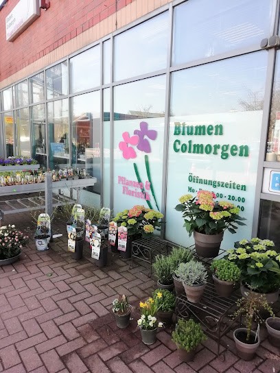 Blumen Colmorgen, Blumenladen in Eckernförde