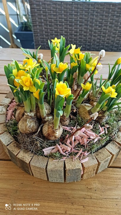 Südblume Vertriebs GmbH, Blumenladen in Elchingen